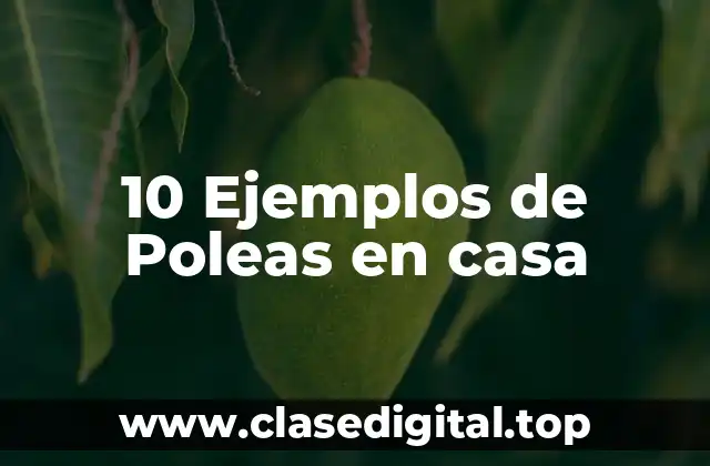 10 Ejemplos de Poleas en casa