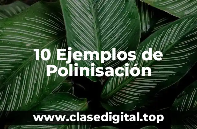 Ejemplos de polinisación