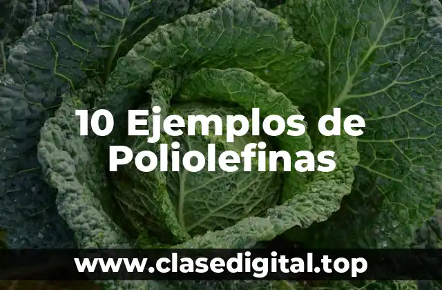 10 Ejemplos de Poliolefinas