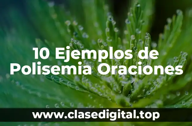 10 Ejemplos de Polisemia Oraciones