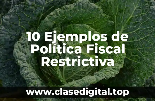 10 Ejemplos de Política Fiscal Restrictiva