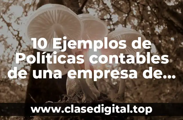 10 Ejemplos de Políticas contables de una empresa de servicios