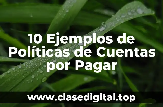 10 Ejemplos de Políticas de Cuentas por Pagar