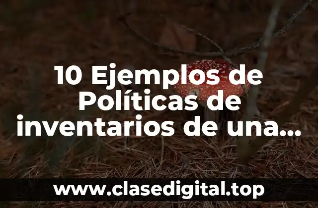 Ejemplos de políticas de inventarios de una empresa comercial