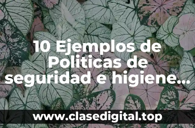 Ejemplos de políticas de seguridad e higiene en una empresa