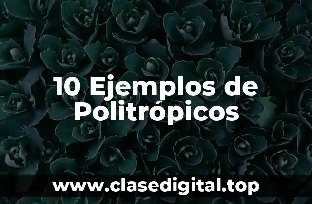 10 Ejemplos de Politrópicos