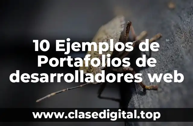10 Ejemplos de Portafolios de desarrolladores web