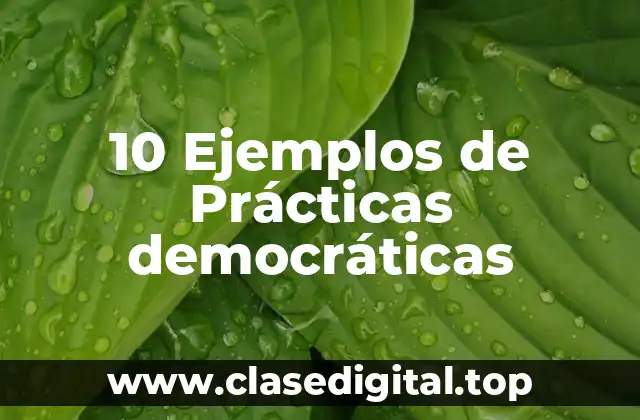 10 Ejemplos de Prácticas democráticas