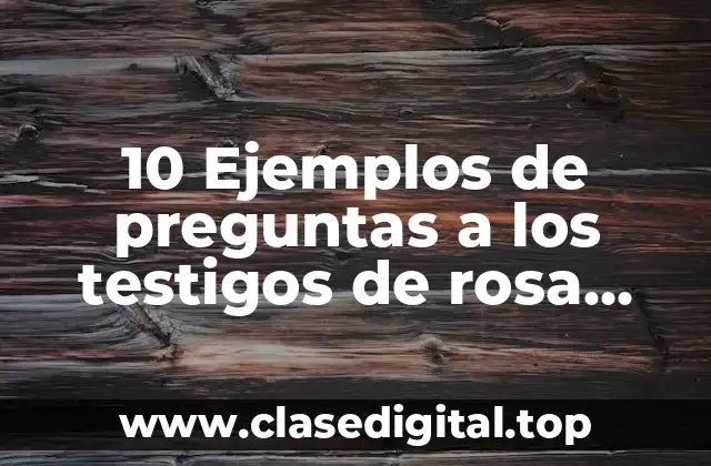 10 Ejemplos de preguntas a los testigos de rosa emma silva