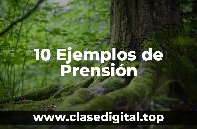 10 Ejemplos de Prensión