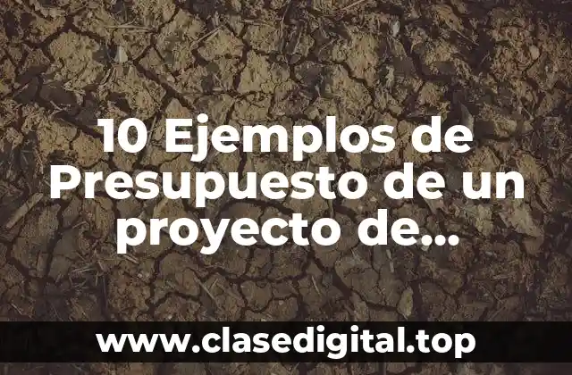 10 Ejemplos de Presupuesto de un proyecto de investigacion en excel