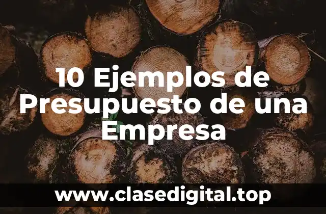 10 Ejemplos de Presupuesto de una Empresa