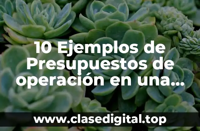 10 Ejemplos de Presupuestos de operación en una empresa