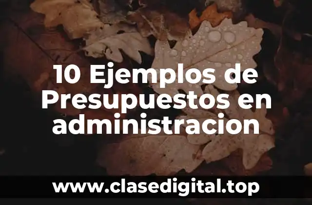 10 Ejemplos de Presupuestos en administracion
