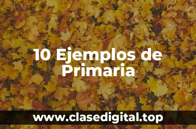 10 Ejemplos de Primaria