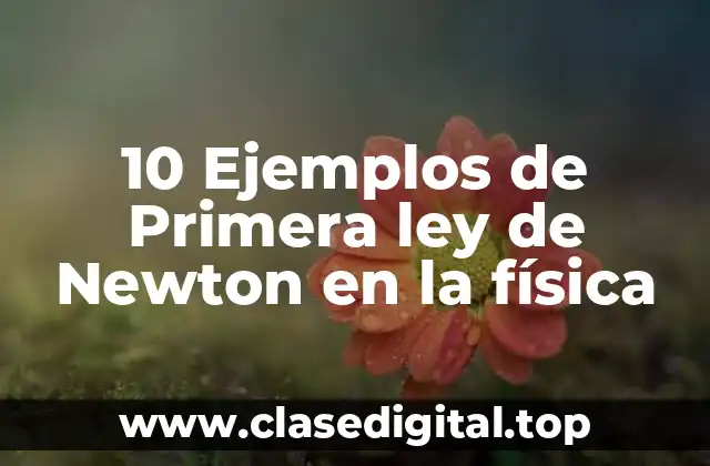 10 Ejemplos de Primera ley de Newton en la física