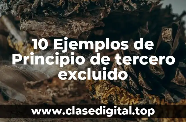10 Ejemplos de Principio de tercero excluido