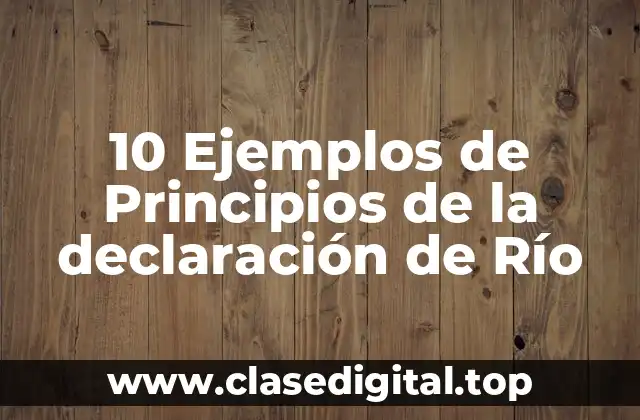 10 Ejemplos de Principios de la declaración de Río