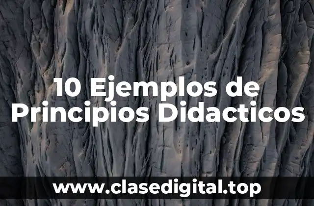 10 Ejemplos de Principios Didacticos
