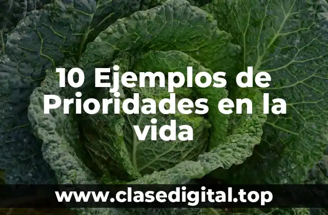 10 Ejemplos de Prioridades en la vida