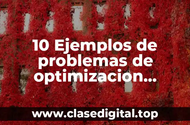 10 Ejemplos de problemas de optimizacion resueltos