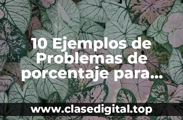 10 Ejemplos de Problemas de porcentaje para primaria