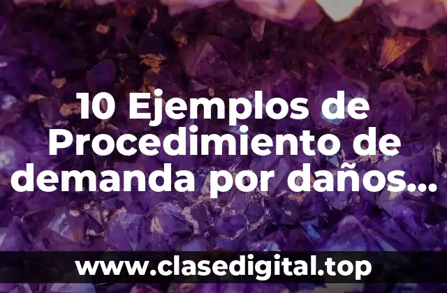 10 Ejemplos de Procedimiento de demanda por daños y perjuicios