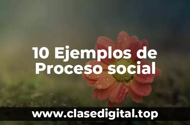 10 Ejemplos de Proceso social