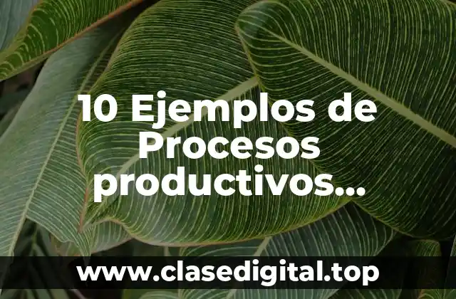 10 Ejemplos de Procesos productivos artesanales