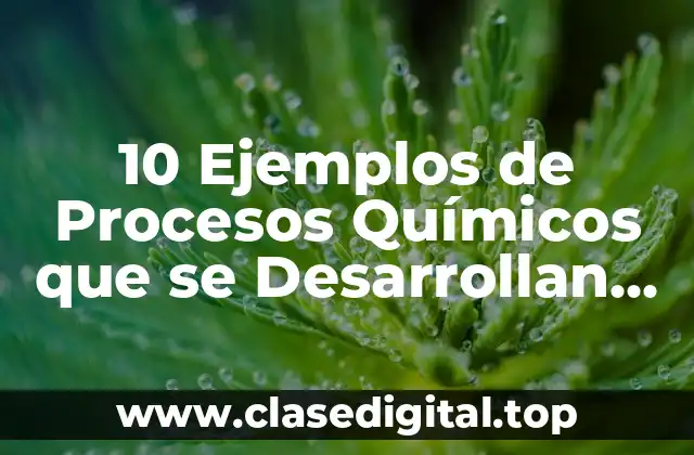 10 Ejemplos de Procesos Químicos que se Desarrollan en la Cocina