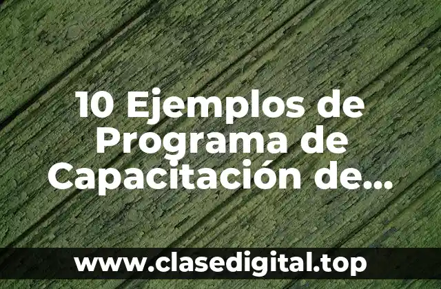 10 Ejemplos de Programa de Capacitación de Personal