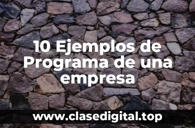 10 Ejemplos de Programa de una empresa