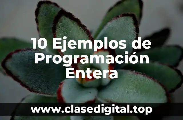 10 Ejemplos de Programación Entera