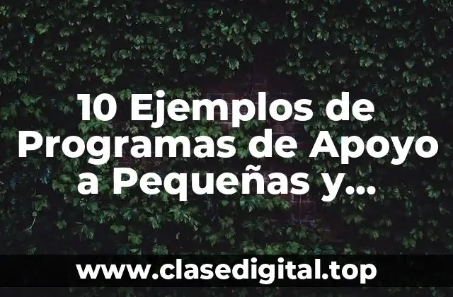 10 Ejemplos de Programas de Apoyo a Pequeñas y Medianas Empresas