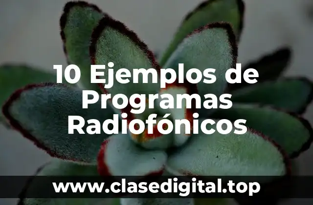 10 Ejemplos de Programas Radiofónicos