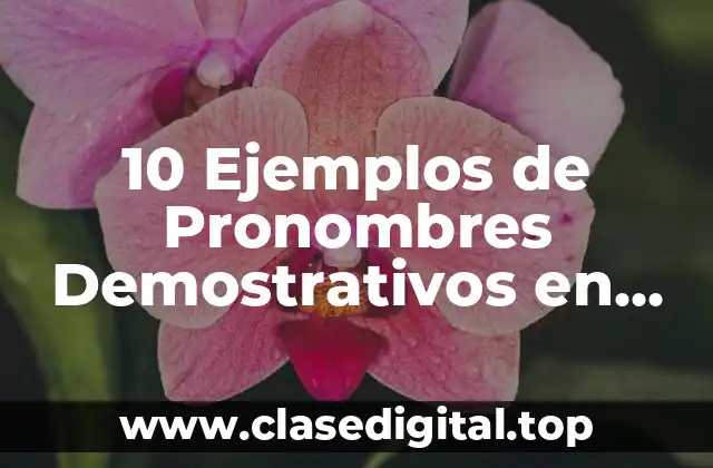10 Ejemplos de Pronombres Demostrativos en Ingles
