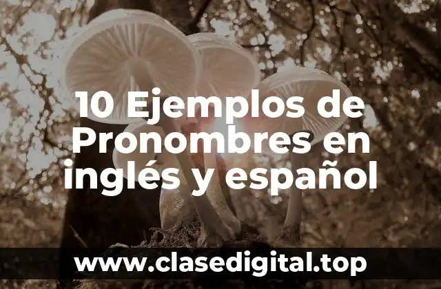 10 Ejemplos de Pronombres en inglés y español
