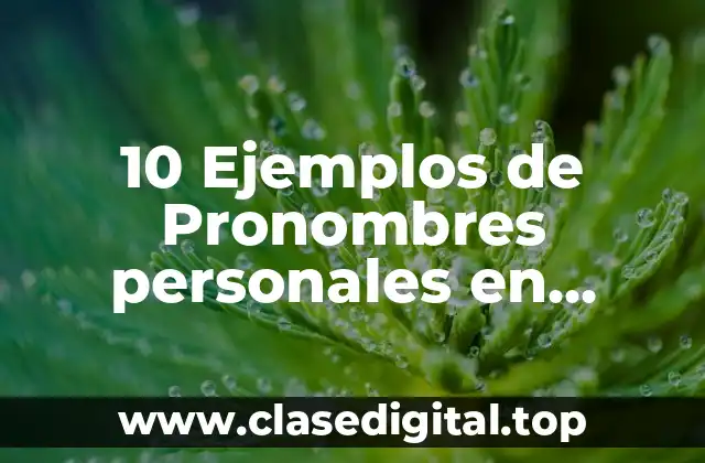 10 Ejemplos de Pronombres personales en singular y plural