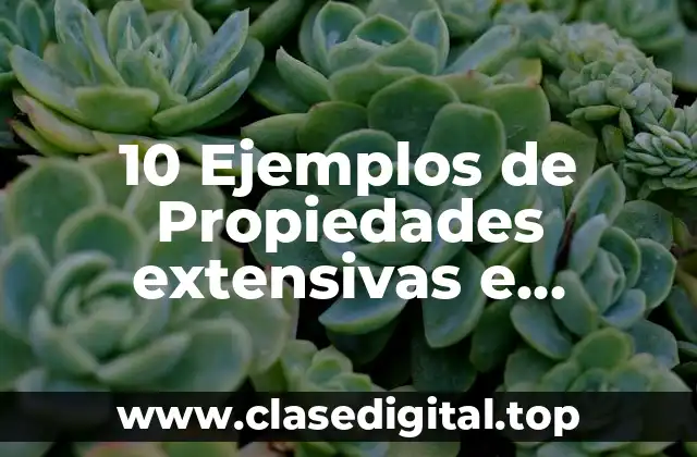 10 Ejemplos de Propiedades extensivas e intensivas en la vida cotidiana