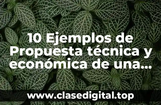 10 Ejemplos de Propuesta técnica y económica de una licitación en España