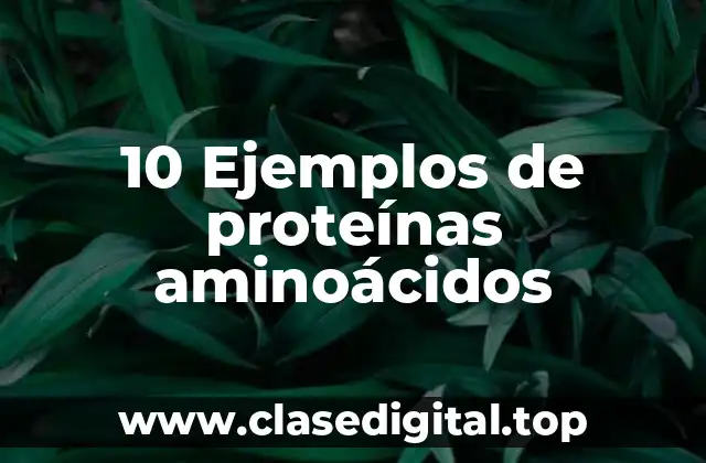 10 Ejemplos de proteínas aminoácidos