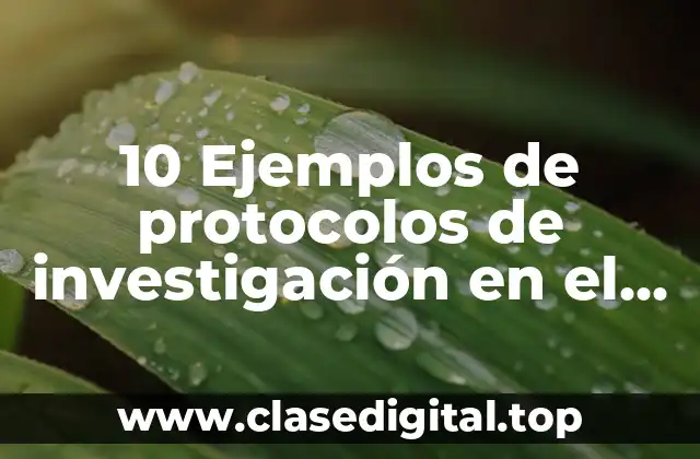 10 Ejemplos de protocolos de investigación en el área de idiomas