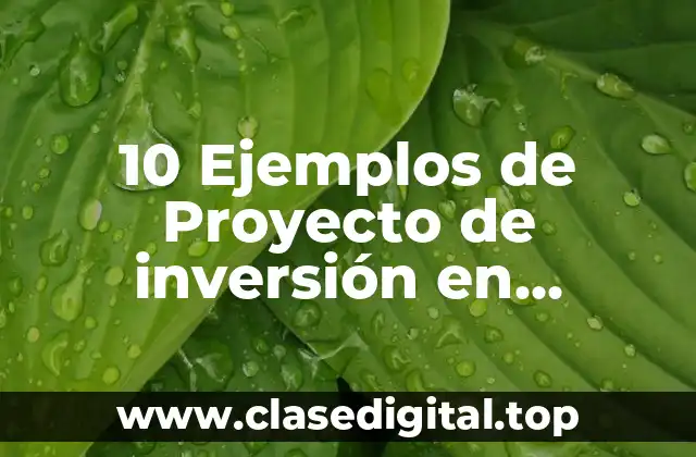 10 Ejemplos de Proyecto de inversión en educación