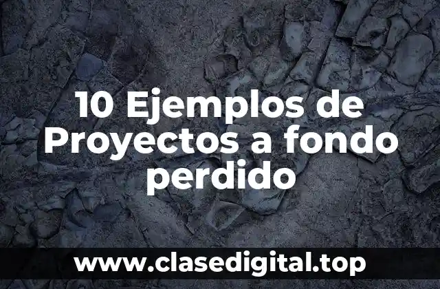 10 Ejemplos de Proyectos a fondo perdido