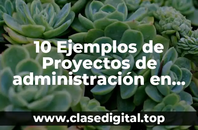 10 Ejemplos de Proyectos de administración en una empresa de campo