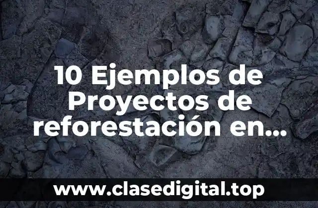 10 Ejemplos de Proyectos de reforestación en áreas verdes de preescolares