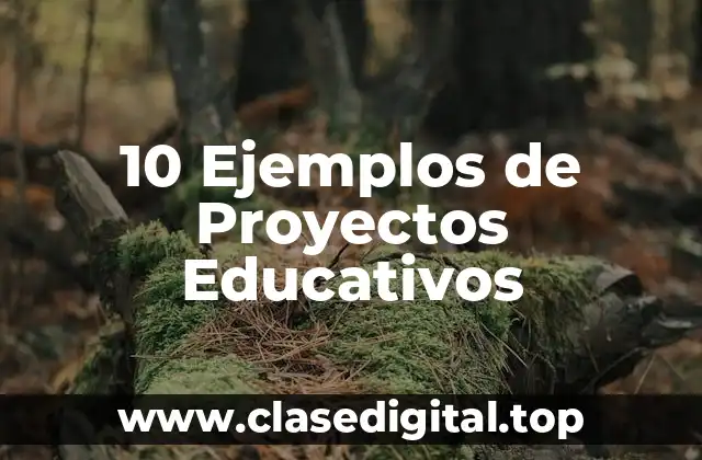 10 Ejemplos de Proyectos Educativos