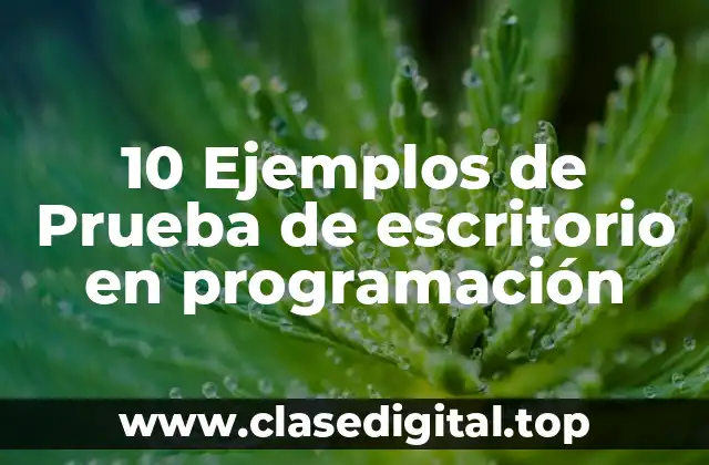 10 Ejemplos de Prueba de escritorio en programación