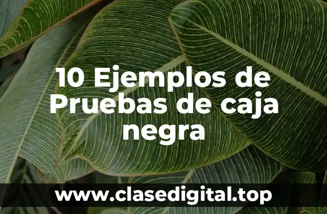 10 Ejemplos de Pruebas de caja negra