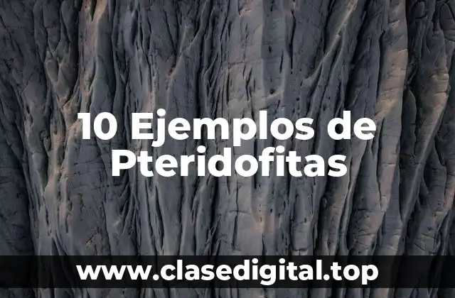 10 Ejemplos de Pteridofitas